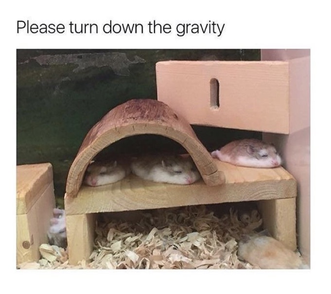 turndownthegravity